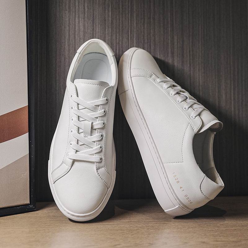 Leather trainers with panel stitching and lace-up closure for men